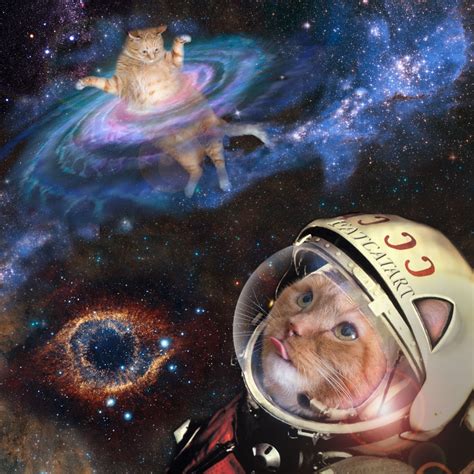 Space Cat Betway